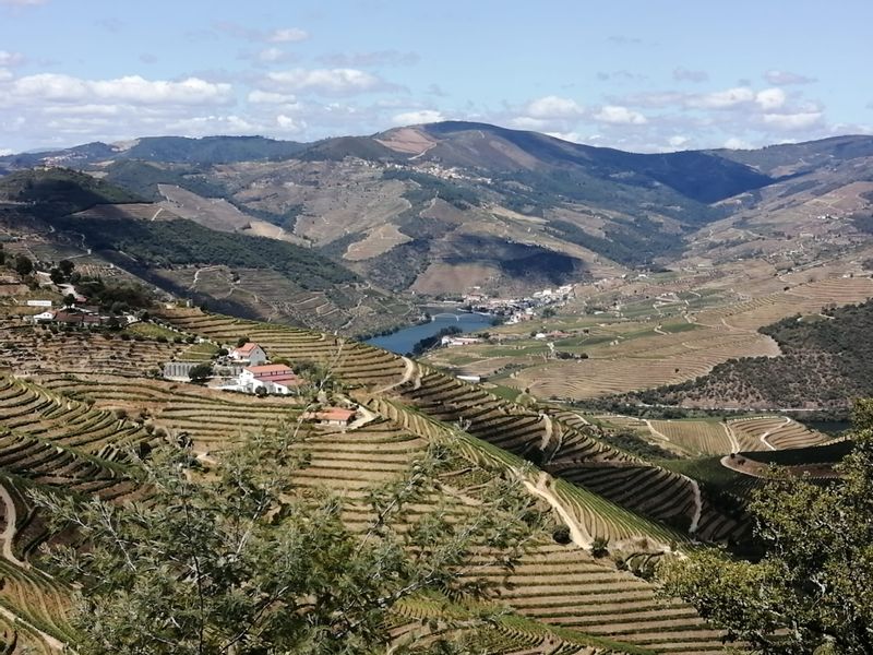 Porto Private Tour - Viewpoint in Ervedosa do Douro - Douro Valley
