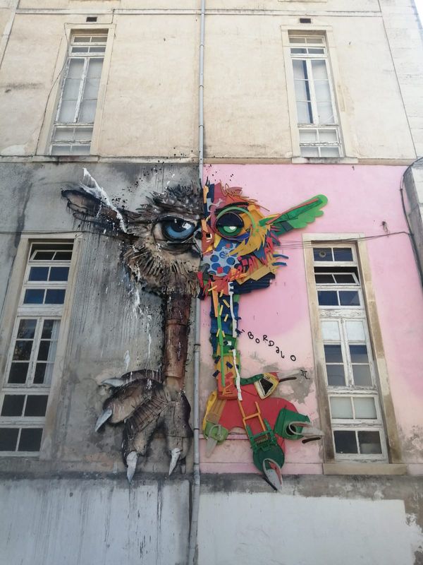 Porto Private Tour - Street Art in Coimbra