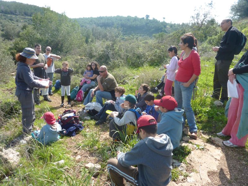 Caesarea Private Tour - Carmel - the ever-green mountain