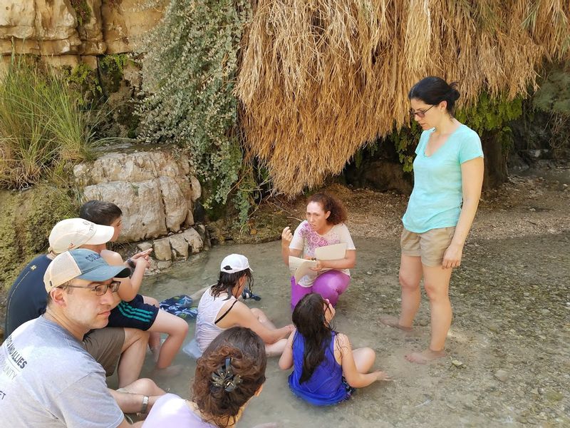 Caesarea Private Tour - Telling the story of King David at Ein Gedi