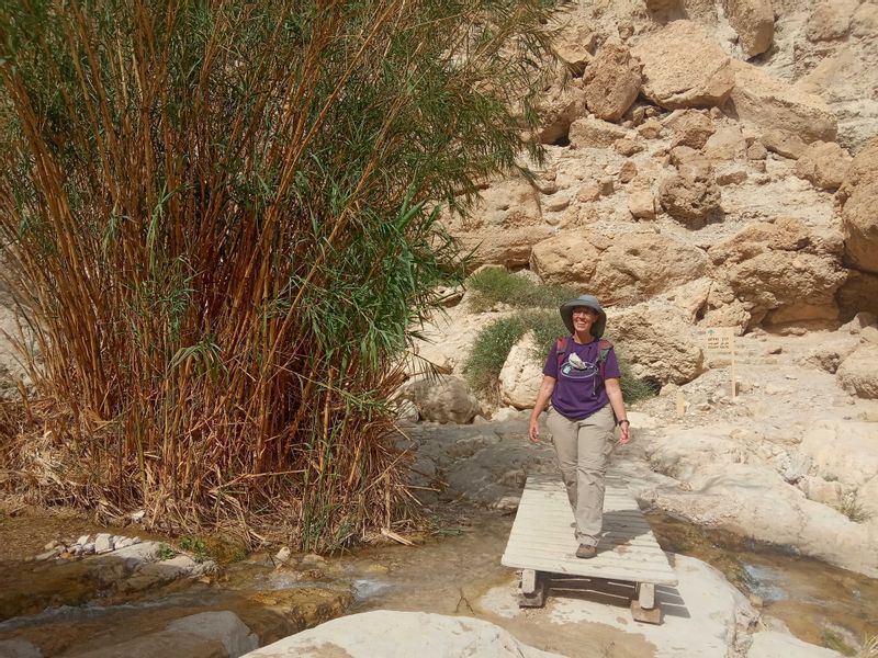 Caesarea Private Tour - Fresh water in the desert - Ein Gedi oazis