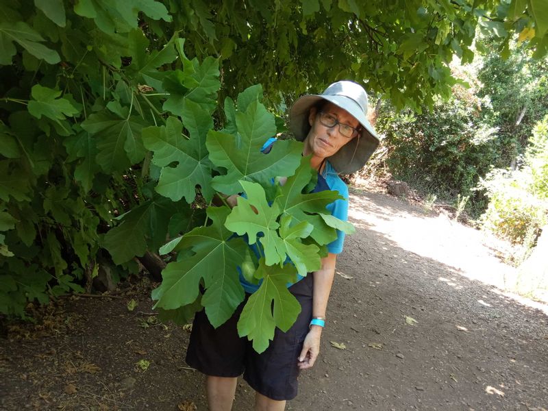 Caesarea Private Tour - Heaven at Dan nature reserve