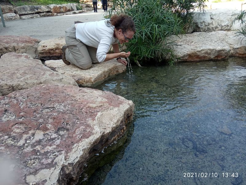 Caesarea Private Tour - Biblical water test at Ein Harod