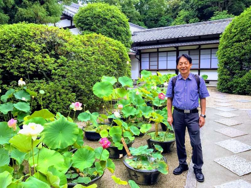 Kanagawa Private Tour - Hello I am SHIN. I am in Nara. There are many very Japanese historical places. Lotus is a symbol flower of Buddhism.