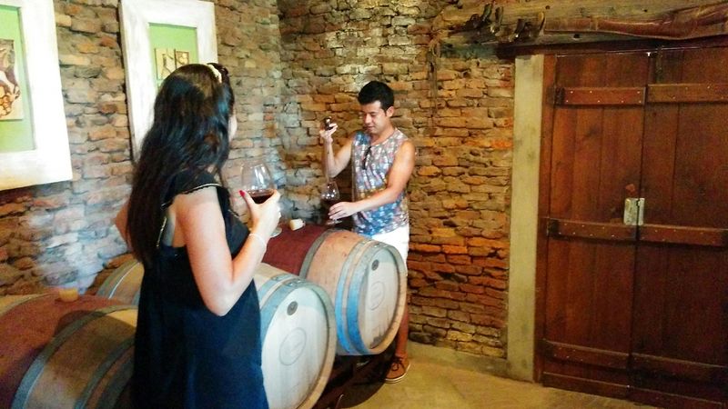 Mendoza Private Tour - Claudio Pinon wine tours