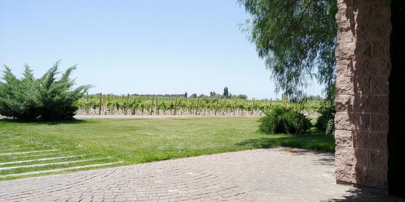 Mendoza Private Tour - Claudio Pinon wine tours