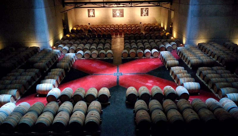 Mendoza Private Tour - Claudio Pinon wine tours