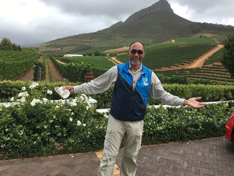 Western Cape Private Tour - Toffar at Del Aire Wine Estate