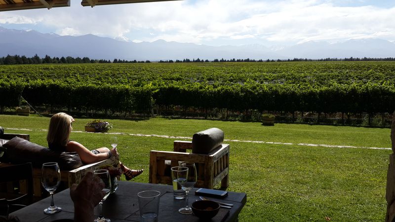 Mendoza Private Tour - 