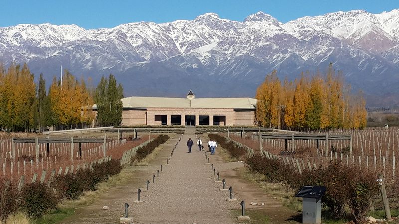 Mendoza Private Tour - 