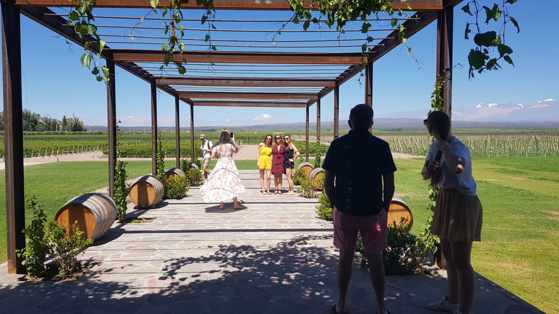 Mendoza Private Tour - 