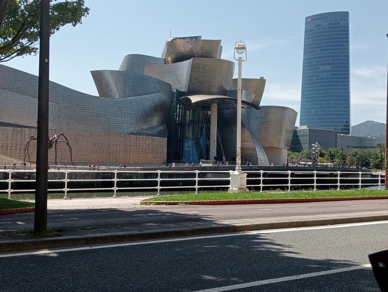 Pais Vasco Private Tour - Guggenheim muesam 