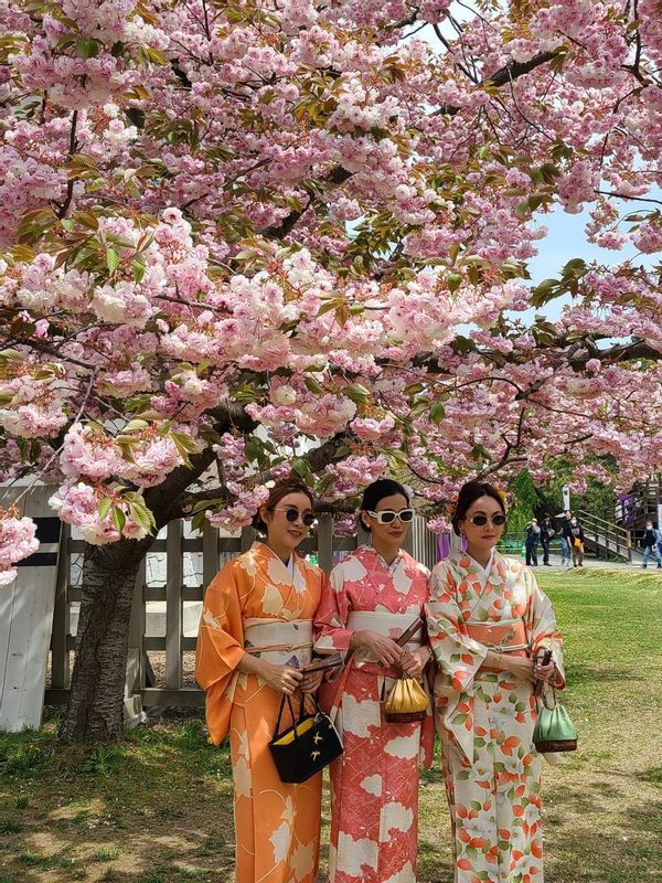 Aomori Private Tour - Hirosaki Castle park in cherry trees season.