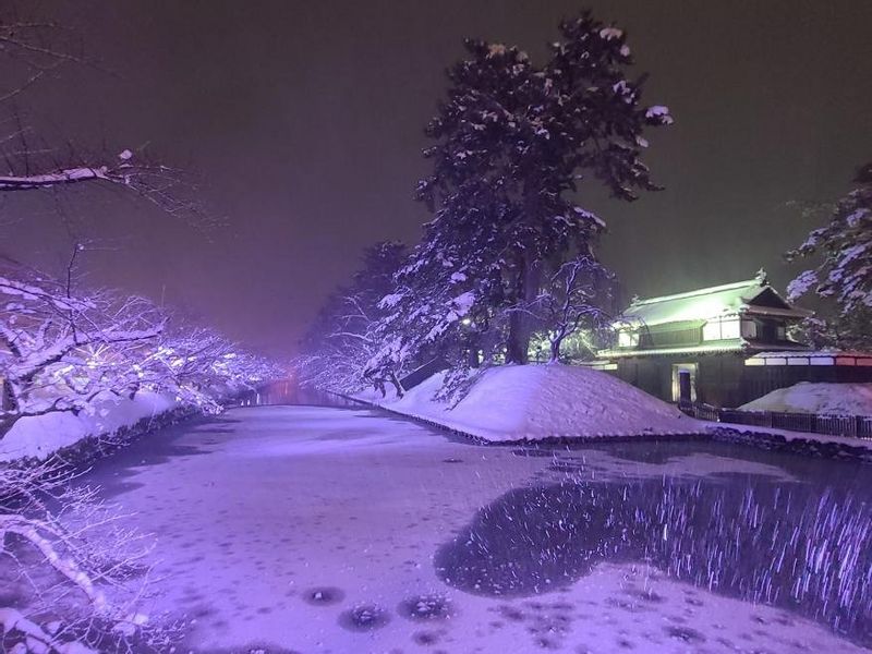 Aomori Private Tour - Hirosaki Castle in winter.