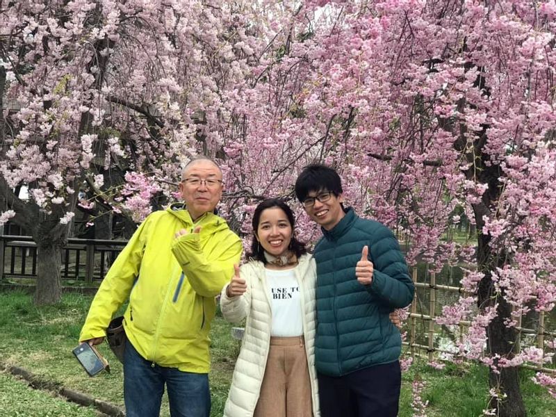 Aomori Private Tour - Cherry trees in the Gappo park in Aomori city.