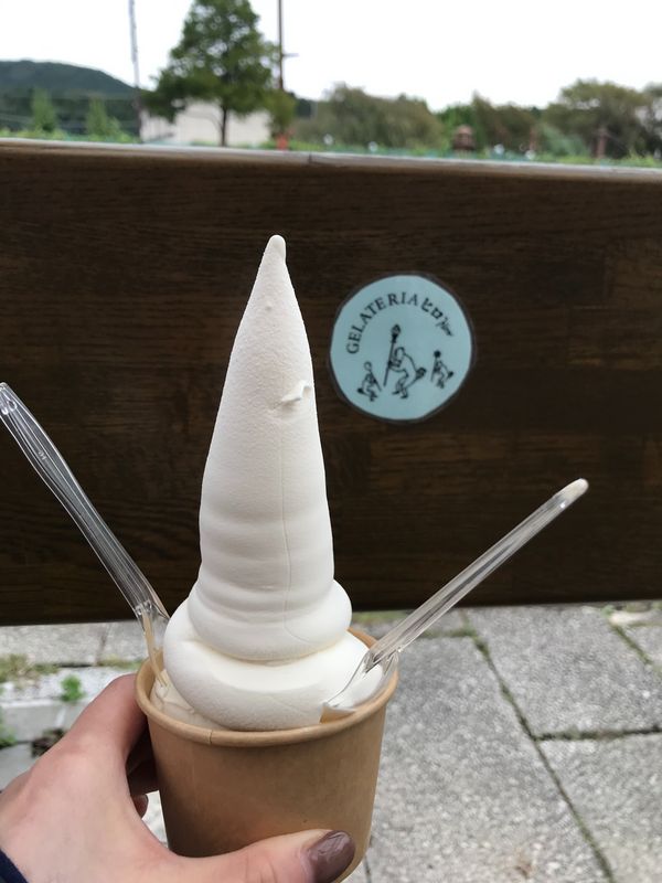 Saitama Private Tour - Nikko icecream