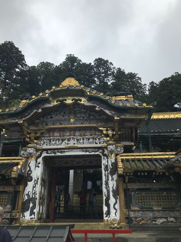 Saitama Private Tour - Toshogu Shrine @Nikko