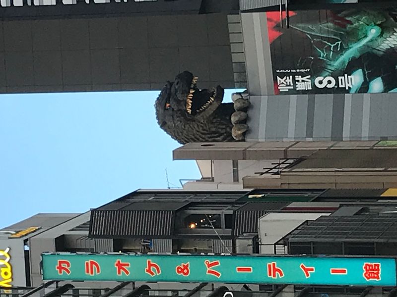 Saitama Private Tour - Let's meet Godzilla in Shinjuku, Tokyo