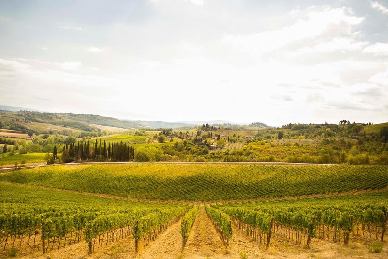 Toscana Private Tour - 