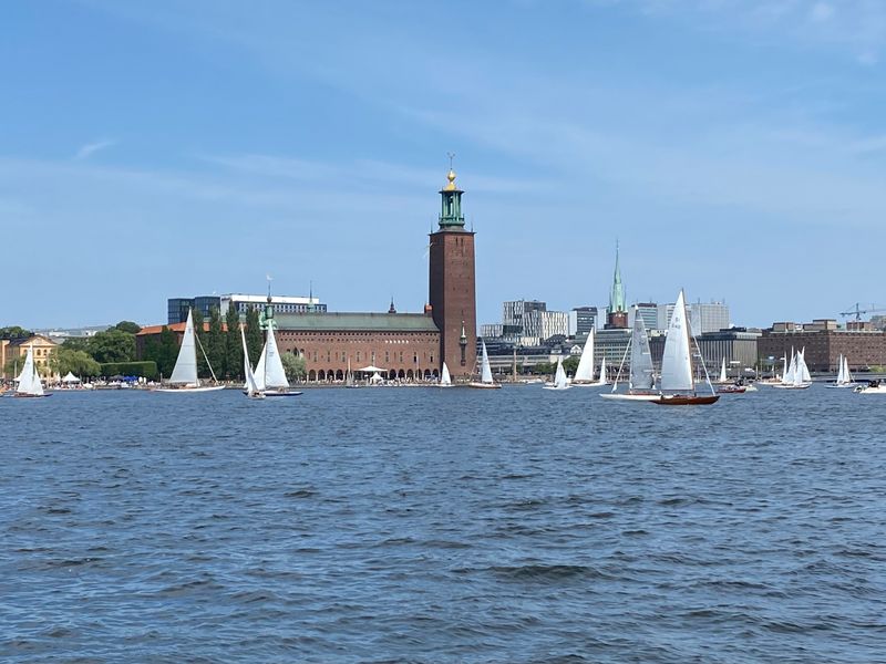 Stockholm Private Tour - City on water with view of the City Hall