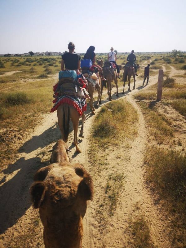 Jaisalmer Private Tour - Camel Safari Jaisalmer