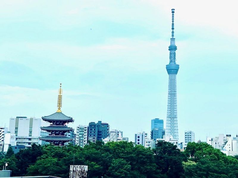 Chiba Private Tour - Asakusa 5 storied pagota and Tokyo Sky Tree