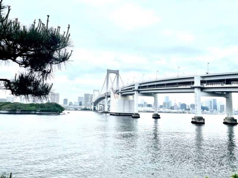 Chiba Private Tour - Odaiba -Tokyo water front area-