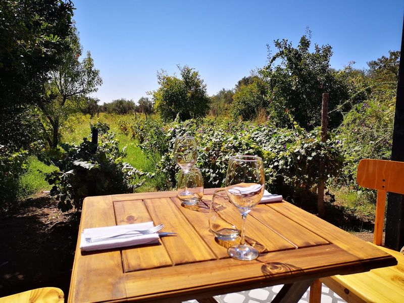 Mendoza Private Tour - Vista desde el restaurante, Bodega Las Guapas