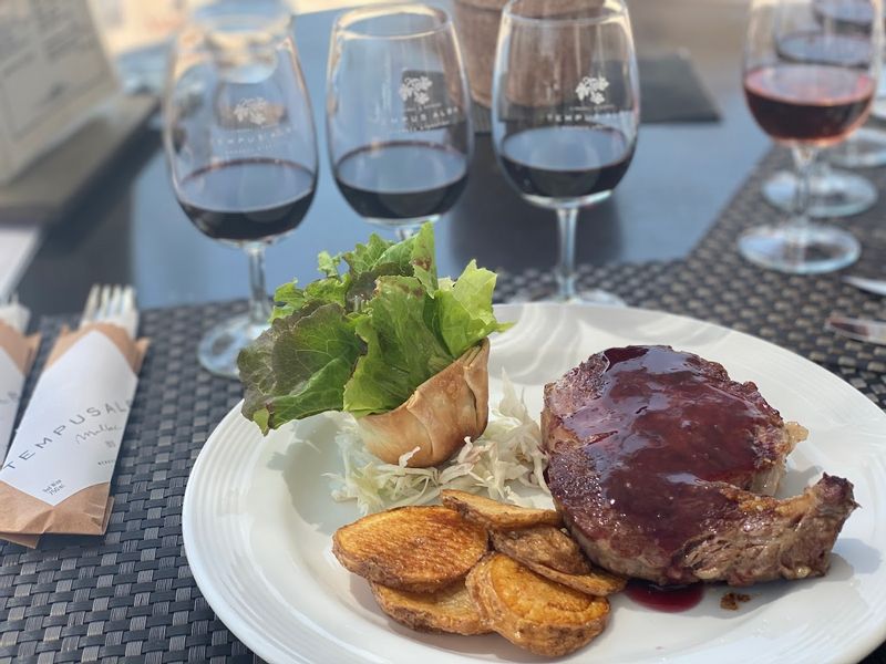 Mendoza Private Tour - Almuerzo en Tempus Alba