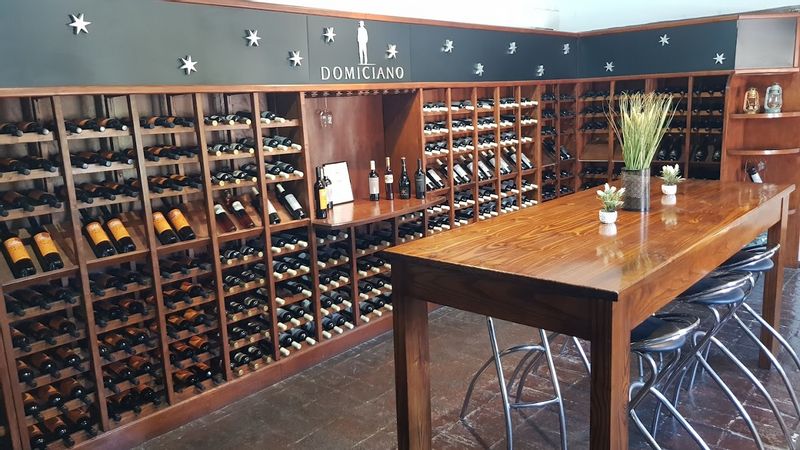 Mendoza Private Tour - Cava para degustaciones, Bodega Domiciano