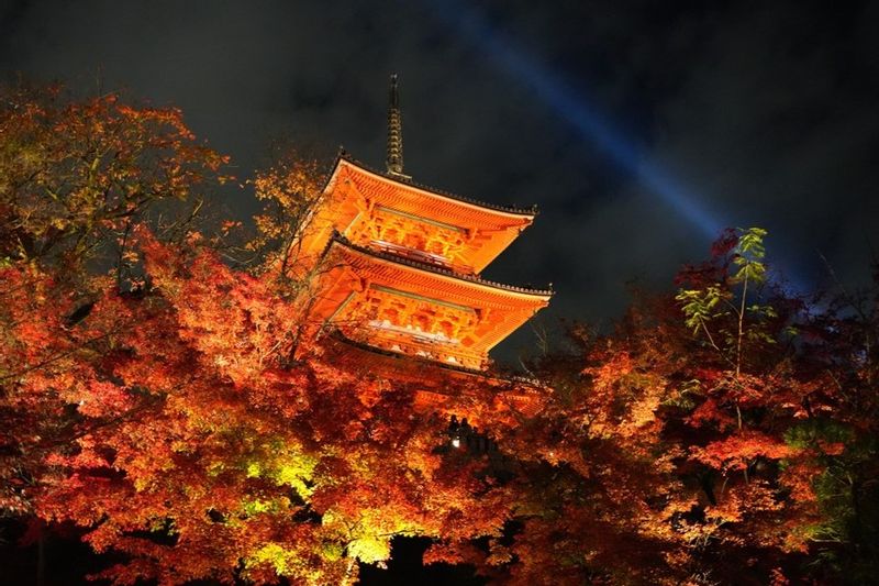 Osaka Private Tour - Kyoto Kiyomizu Temple