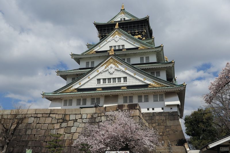 Osaka Private Tour - Osaka Castle