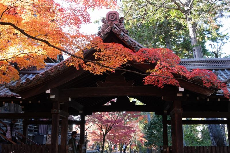 Osaka Private Tour - Kyoto Shinnyodo