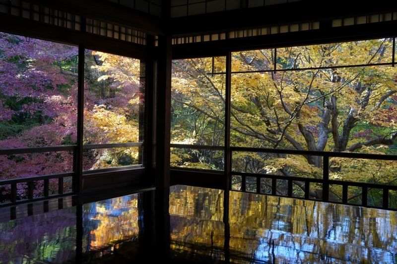 Osaka Private Tour - Kyoto Rurikoin Temple