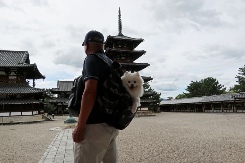 Osaka Private Tour - Nara Horyuji Temple