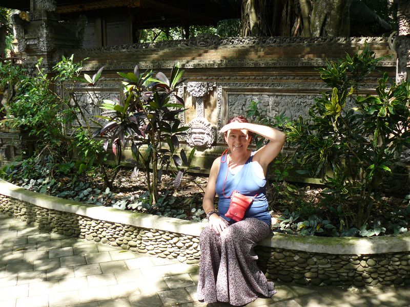 Western Cape Private Tour - Touring in Bali's Gardens