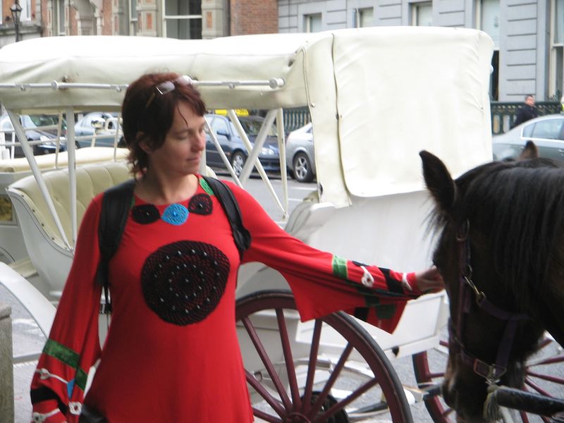 Western Cape Private Tour - Ireland - tour with horse and carriage