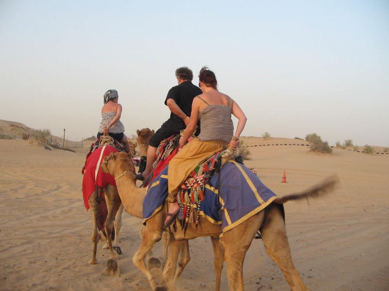 Western Cape Private Tour - Camel ride in Dubai