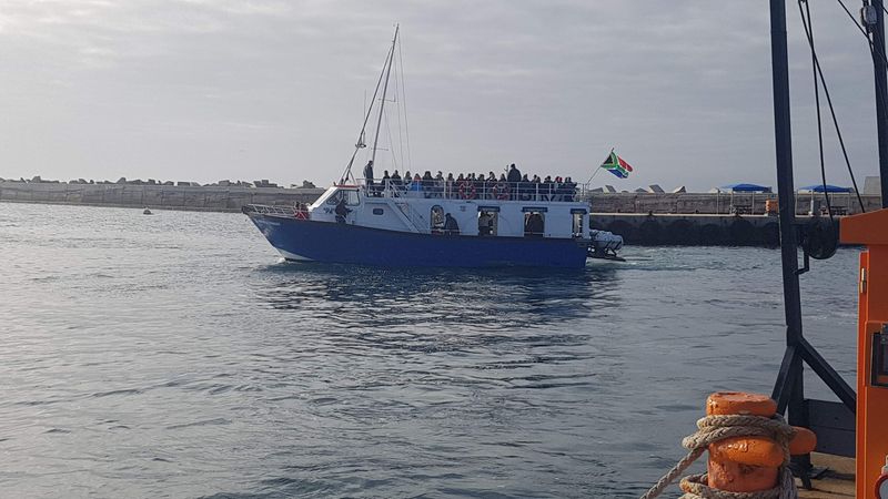 Cape Town Private Tour - Whale watchung