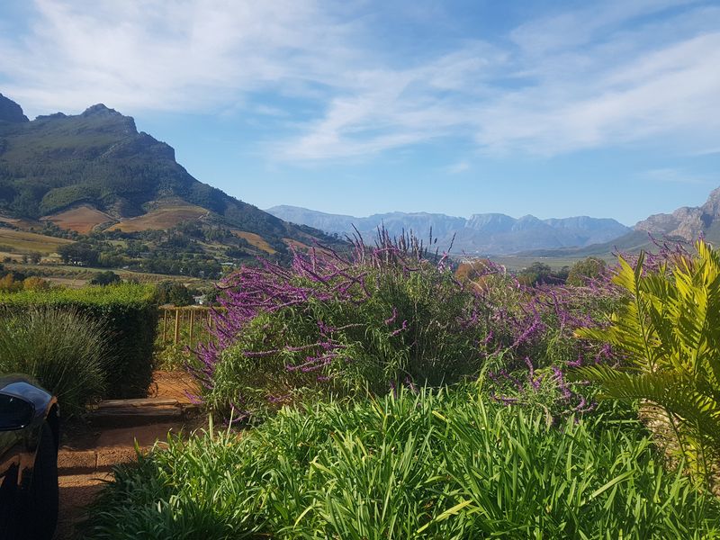 Cape Town Private Tour - Winelands