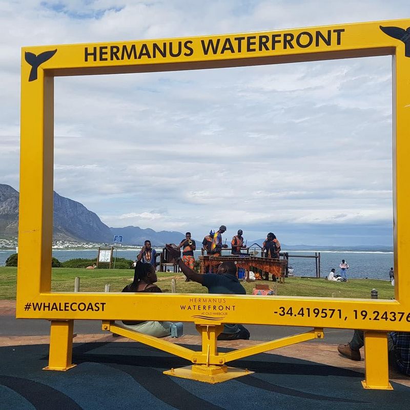 Cape Town Private Tour - Hermanus