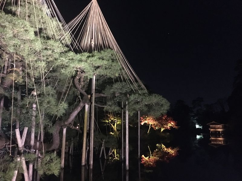 Kanazawa Private Tour - Kenrokuen Garden