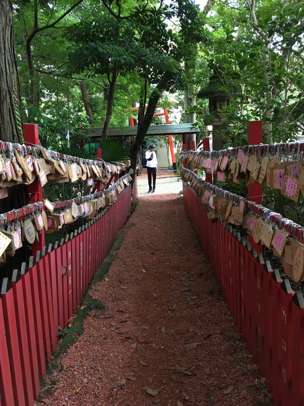 Kanazawa Private Tour - Torii Gates