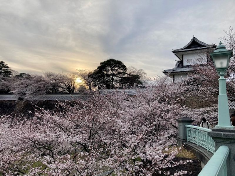 Kanazawa Private Tour - Sakura time