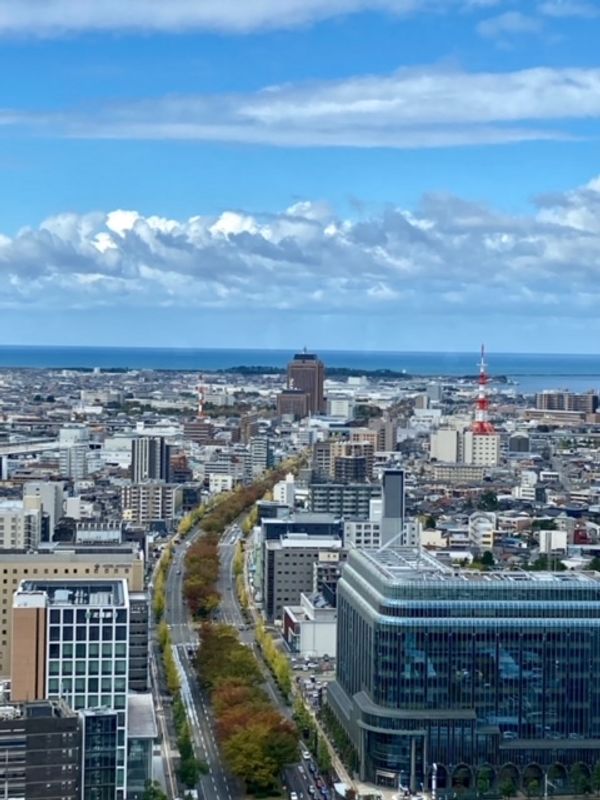 Kanazawa Private Tour - Panorama view of Kanazawa