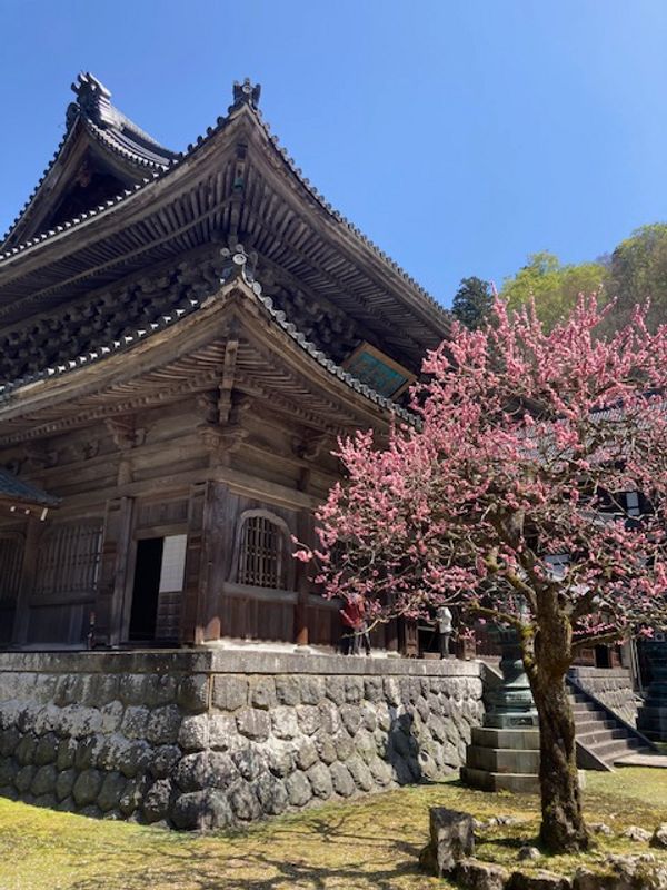 Kanazawa Private Tour - Daihonzan Eiheiji