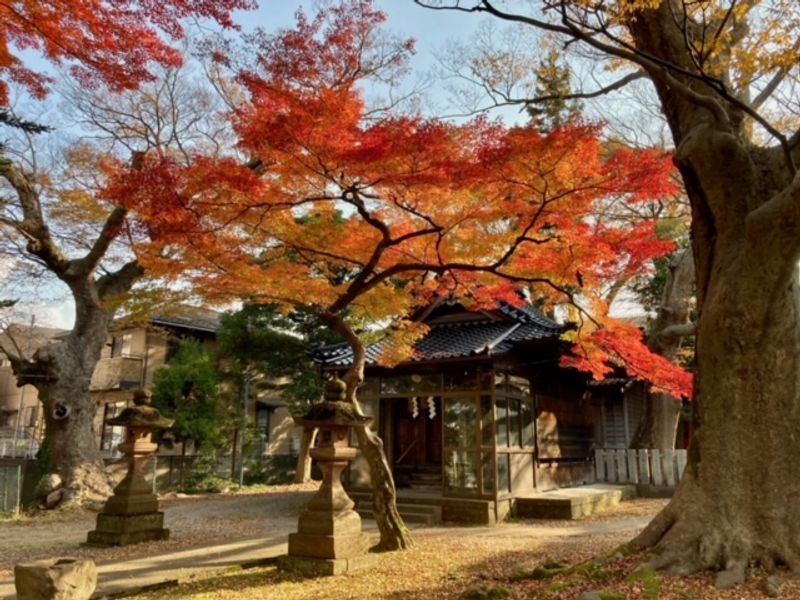 Kanazawa Private Tour - Sarumaru Jinja 