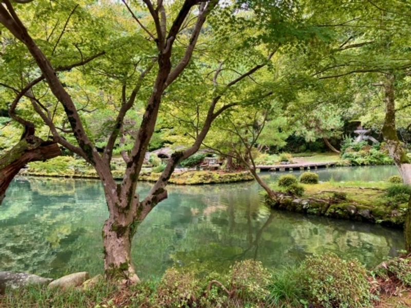 Kanazawa Private Tour - "music instrument"garden Oyama Shrine