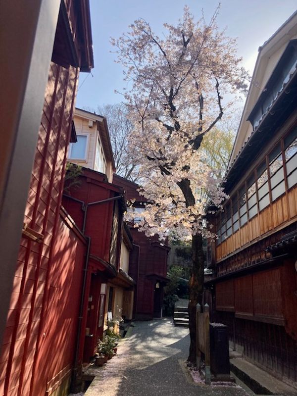 Kanazawa Private Tour - Kazuemachi District