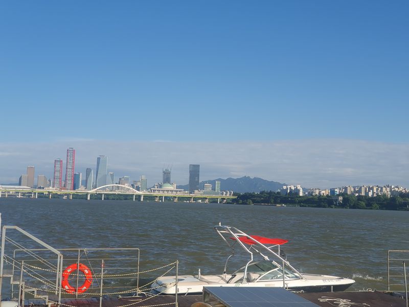 Seoul Private Tour - Cruise in Han river